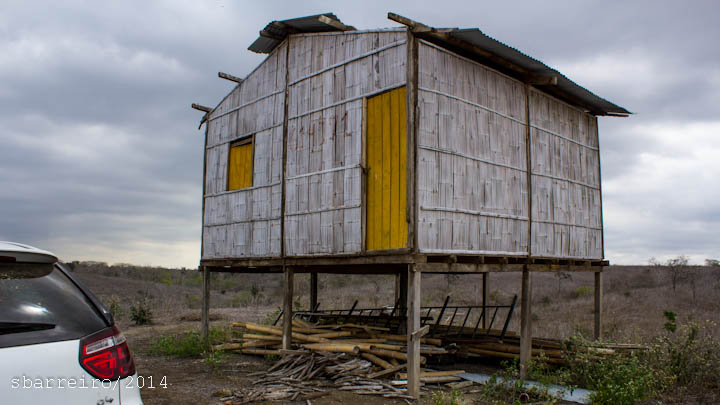 image description added to the foto